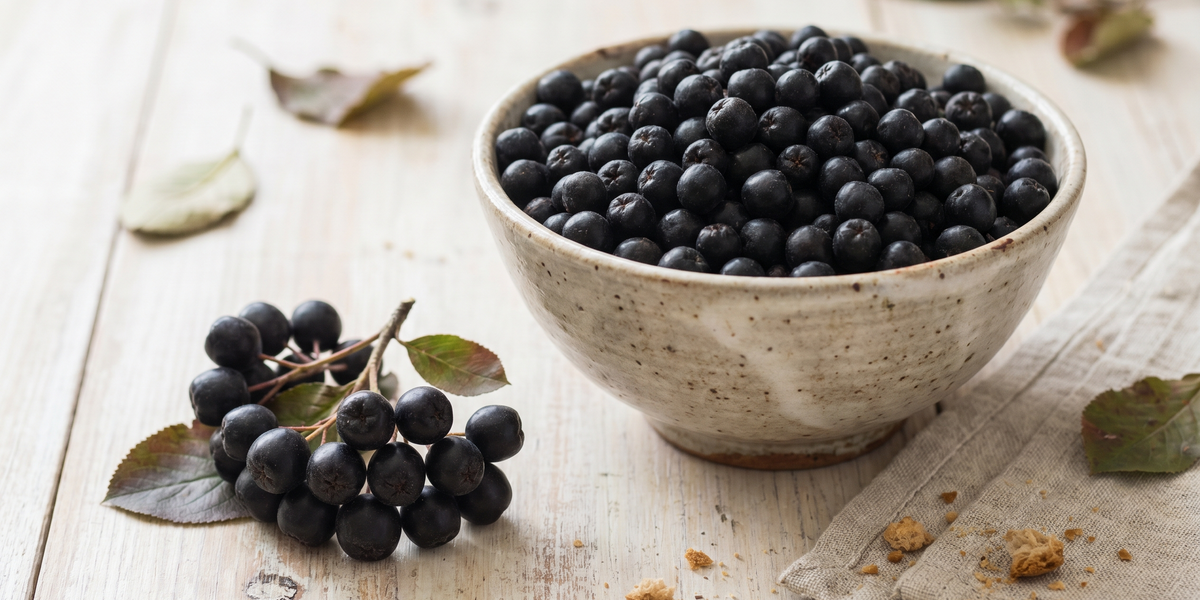 Aronia: Ghid Complet — Beneficii, Cum se Consumă și Contraindicații