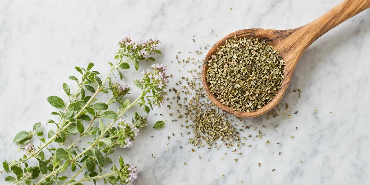 Oregano: Ce Este, Ce Conține De Fapt Și Prin Ce Diferă De Uleiul De Oregano