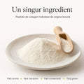 Un singur ingredient — peptide de colagen hidrolizat de origine bovină, fără arome, îndulcitori, conservanți sau gluten