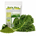 Kale pulbere BIO 250g, lifestyle, Biovicta