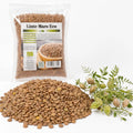 Linte maro BIO, 250g — boabe uscate naturale și ramură de plantă cu păstăi, prezentare lifestyle, Biovicta