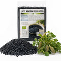 Linte neagră Beluga BIO, 250g — boabe uscate naturale și ramură de plantă cu păstăi, prezentare lifestyle, Biovicta