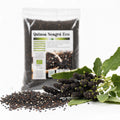 Quinoa neagră BIO 500g — boabe negre și plantă quinoa proaspătă, prezentare lifestyle, Biovicta