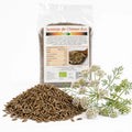 Semințe de chimen BIO 100g — semințe și ramură plantă chimen (sursa naturală), prezentare lifestyle, Biovicta