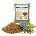 Semințe de in măcinate BIO 250g — pudră in și ramură plantă in (sursa naturală), prezentare lifestyle, Biovicta