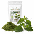 Urzici frunze pudră BIO 200g — pudră verde și ramură de urzică proaspătă, prezentare lifestyle, Biovicta