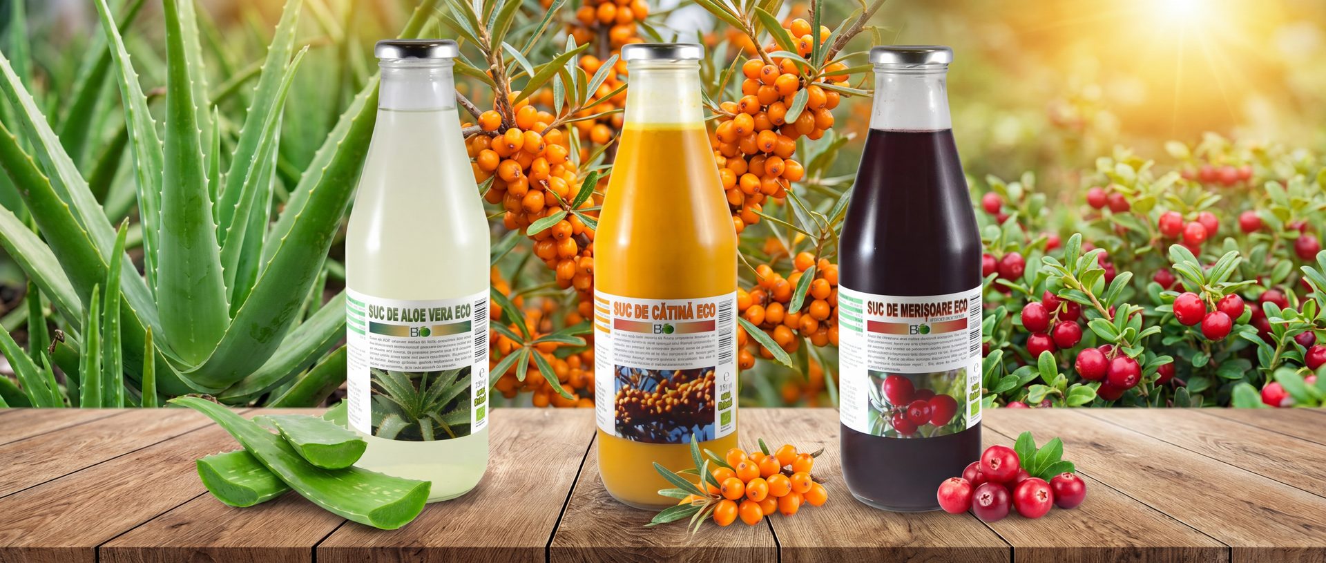 Sucuri eco certificate - Biovicta