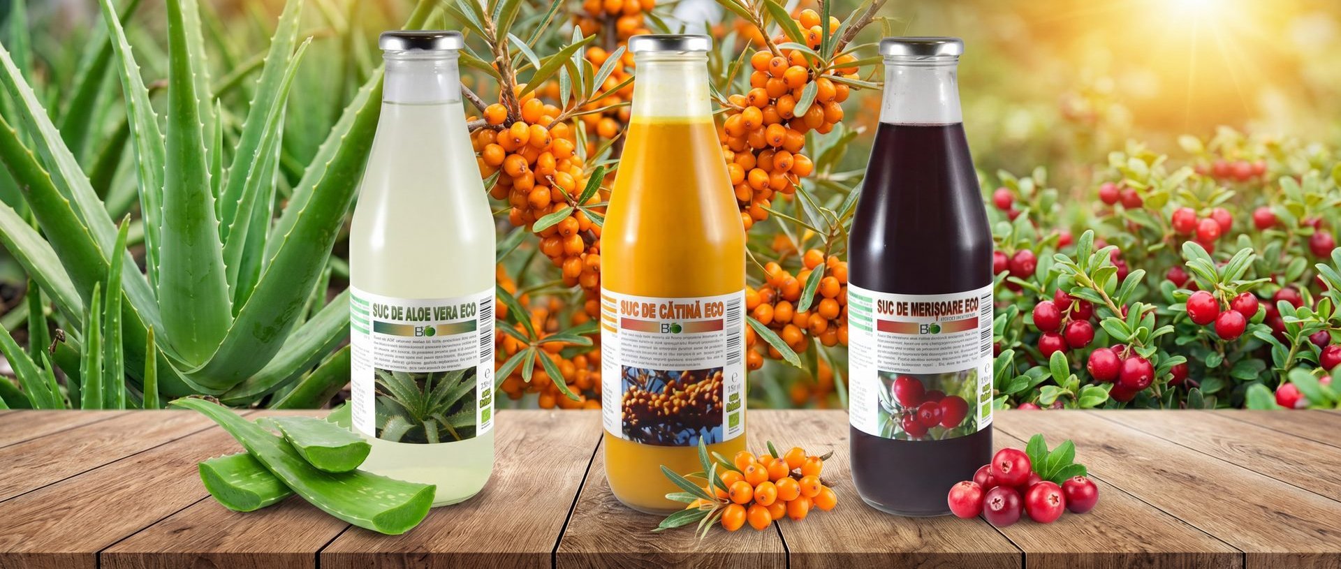 Sucuri eco certificate - Biovicta